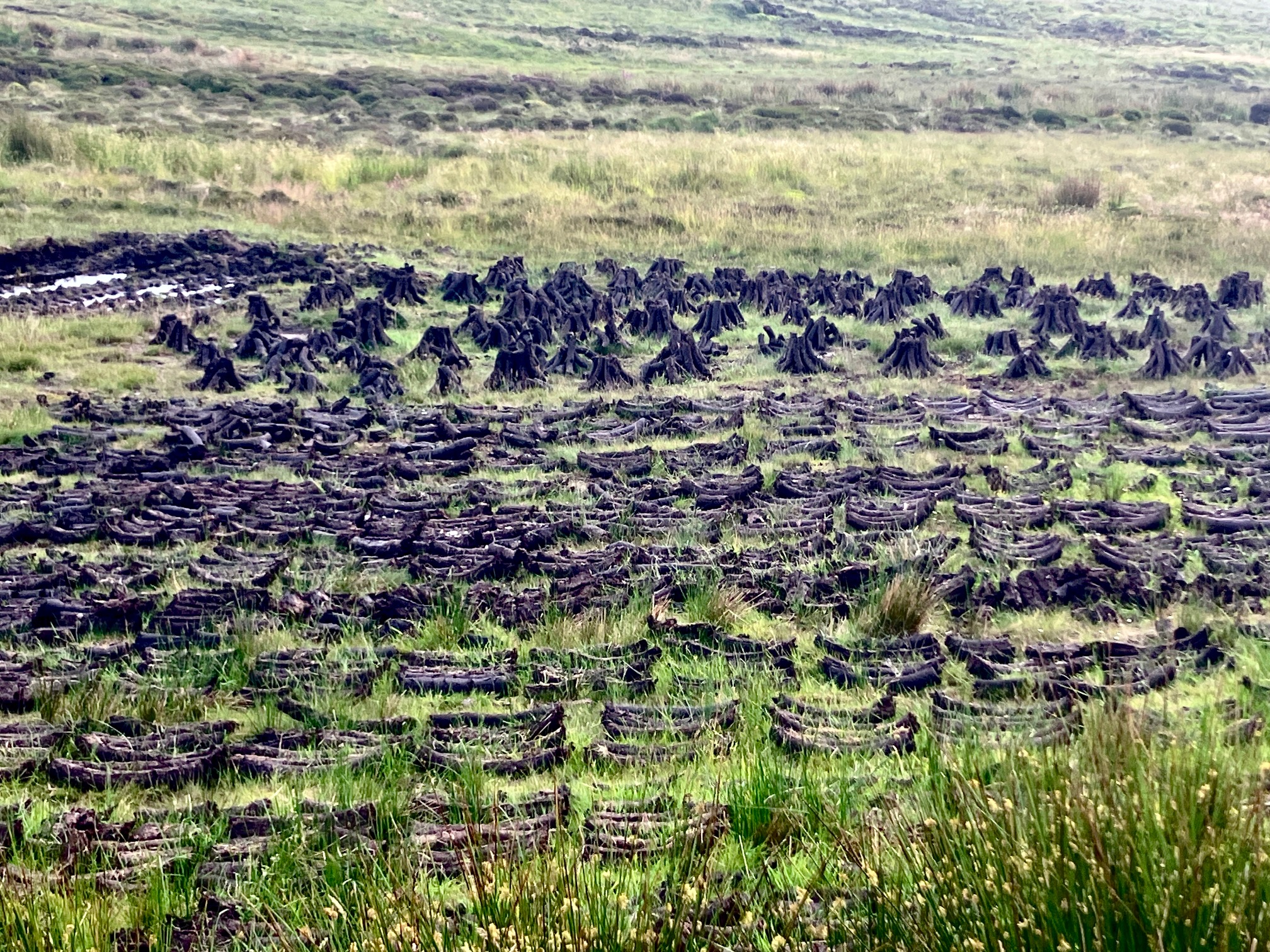 image26.jpeg